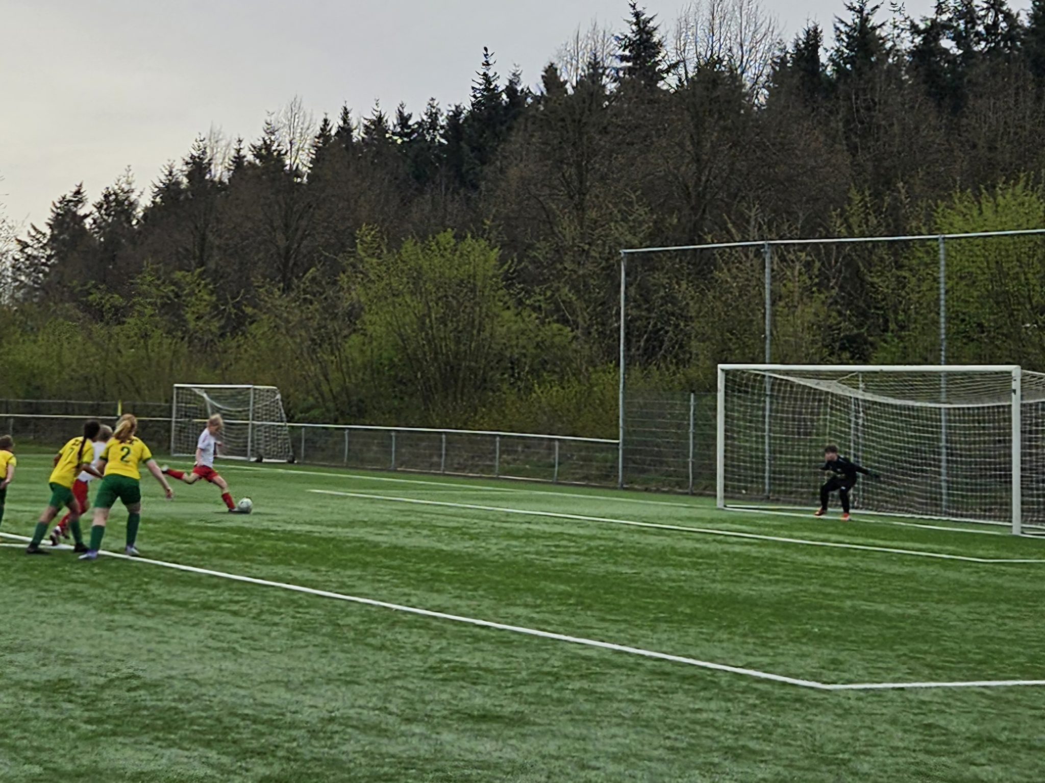 🏆 Wedstrijdverslag: DZOH JO13-4 - Dalen JO13-2