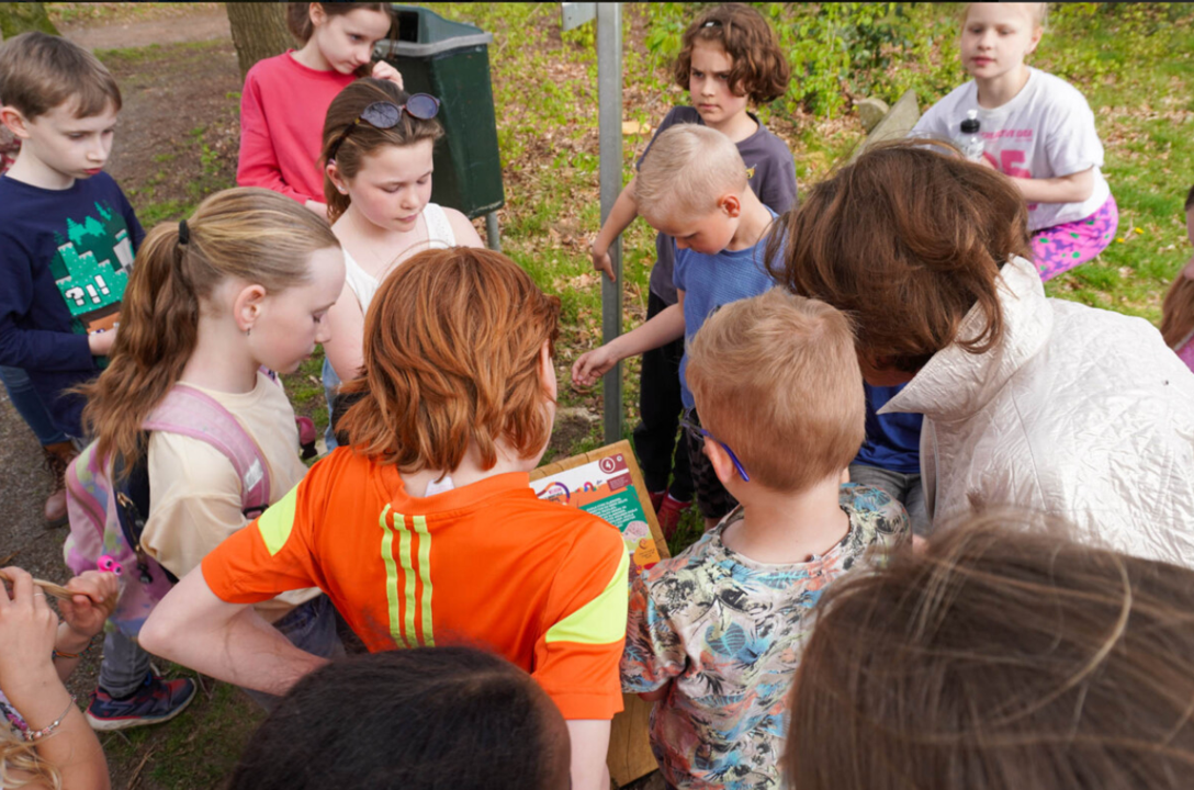 Kinderen: kom morgen naar Dalen 1 en loop het Rupspad!