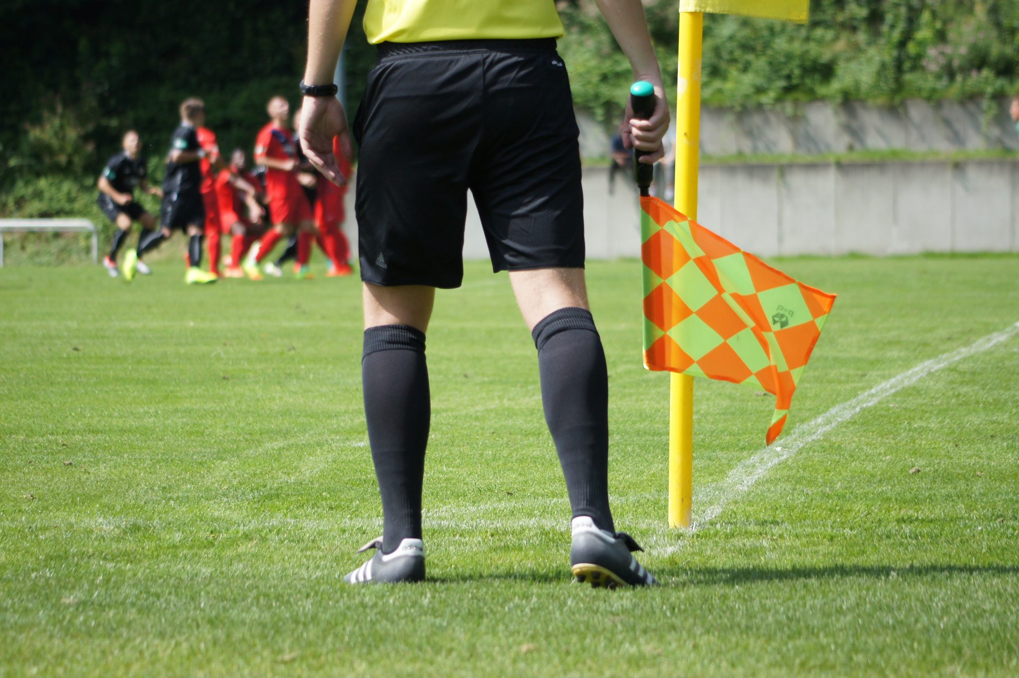 Grensrechter Dalen 1 gezocht